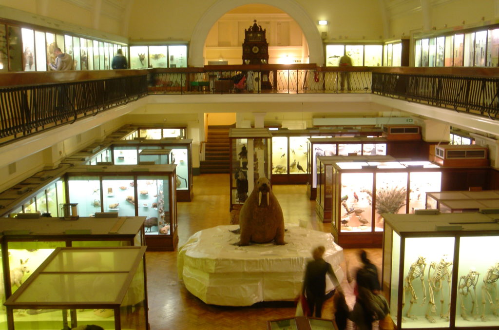 Horniman_Museum_interior