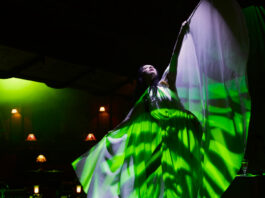 White Light Creates the Glow of 1890s Paris for CHAT NOIR!