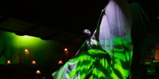 White Light Creates the Glow of 1890s Paris for CHAT NOIR!