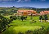 Vine Tree expands into Portugal with Discovery Hotel Management partnership