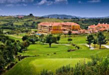 Vine Tree expands into Portugal with Discovery Hotel Management partnership