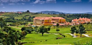 Vine Tree expands into Portugal with Discovery Hotel Management partnership