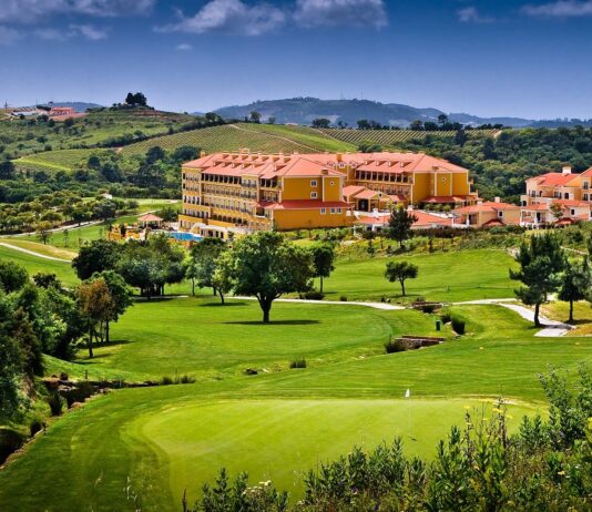 Vine Tree expands into Portugal with Discovery Hotel Management partnership