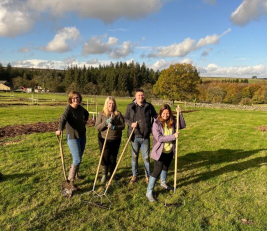 Lime Venue Portfolio Celebrates Sustainability Success Across Its Portfolio