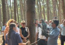 Furniture Village Brings Business Strategy to Life at Center Parcs