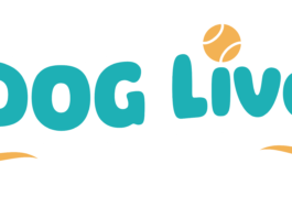 Raccoon Media Group announces major animal health expansion as Edition Dog Live joins rapidly growing portfolio
