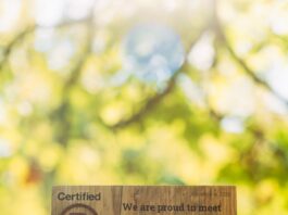 SLEDGE AND SWM PARTNERS BOLSTER PURPOSE-DRIVEN MODEL WITH B CORP™ CERTIFICATION